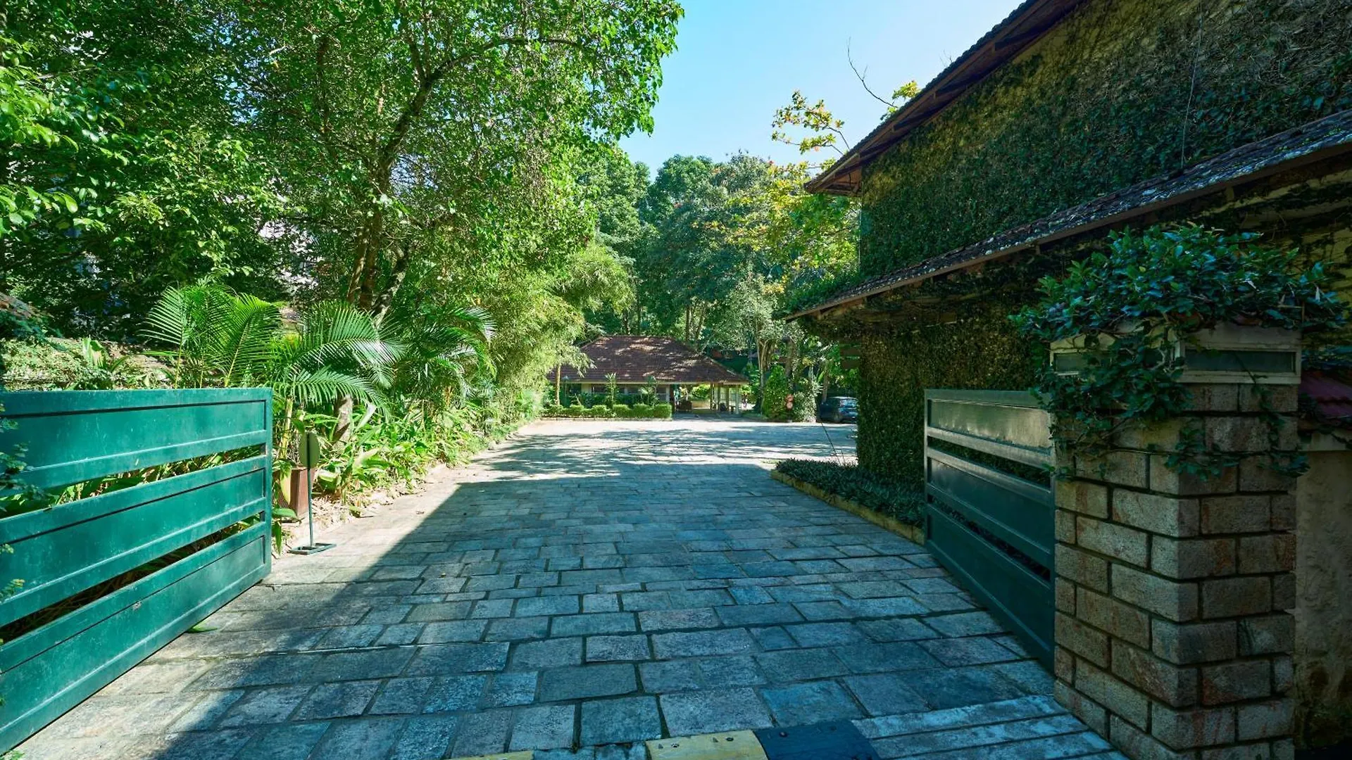 度假村 小豆蔻镇度假村 提喀迪