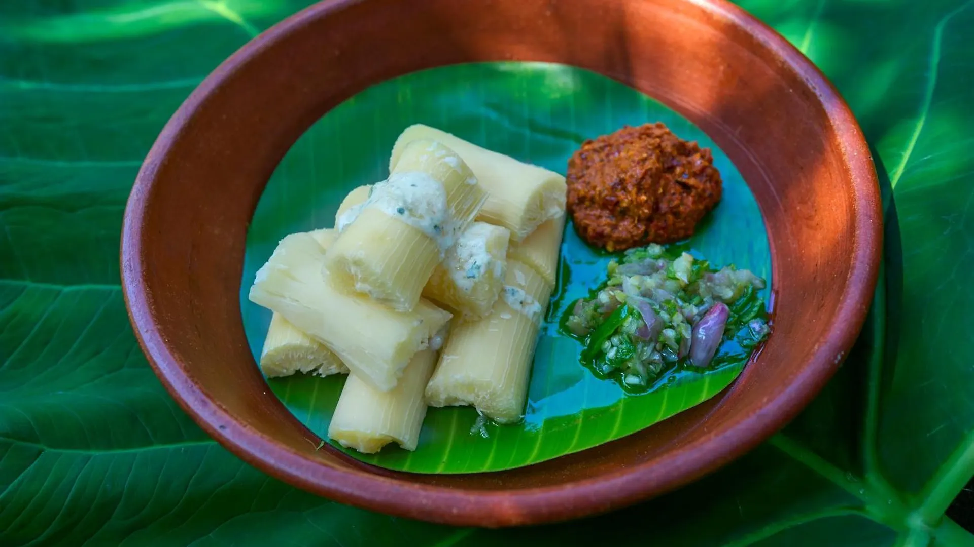 小豆蔻镇度假村 提喀迪 度假村