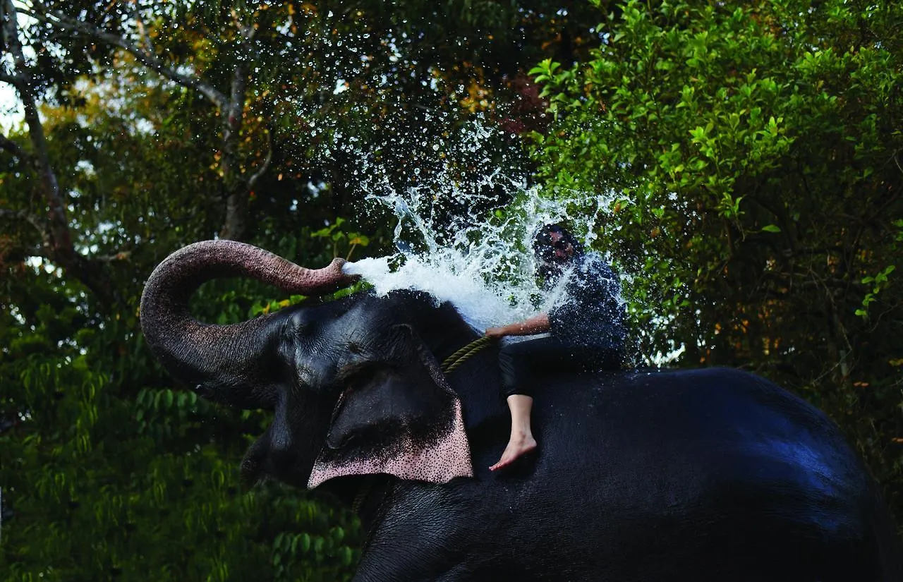 Cardamom County By Xandari Hotel Thekkady 4*,