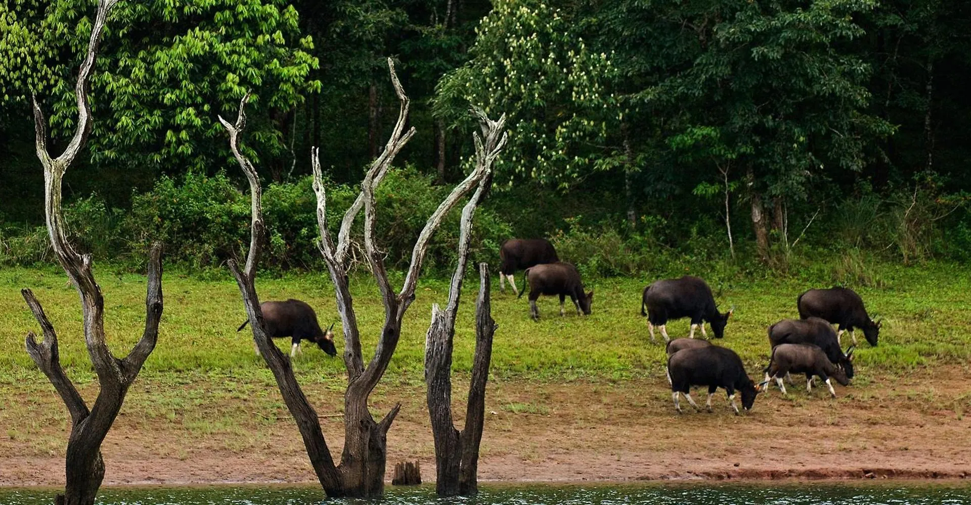 Resort Cardamom County By Xandari Hotel Thekkady