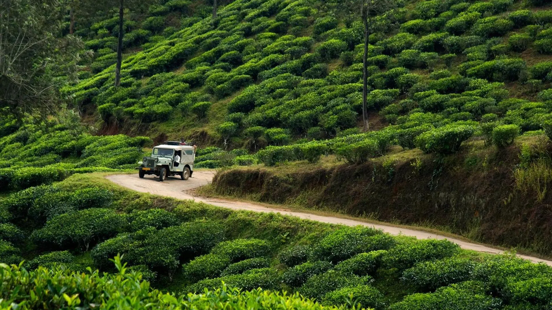**** Resort Cardamom County By Xandari Hotel Thekkady India