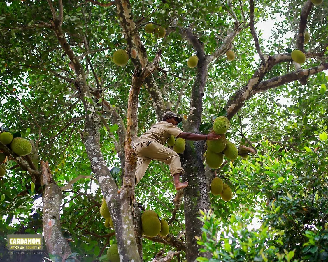 Cardamom County By Xandari Hotel Thekkady